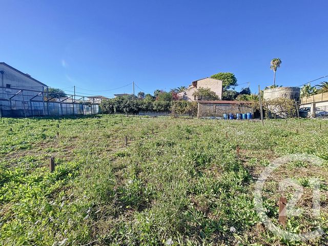 terrain à vendre - 1000.0 m2 - ANTIBES - 06 - PROVENCE-ALPES-COTE-D-AZUR - Century 21 Roi Soleil