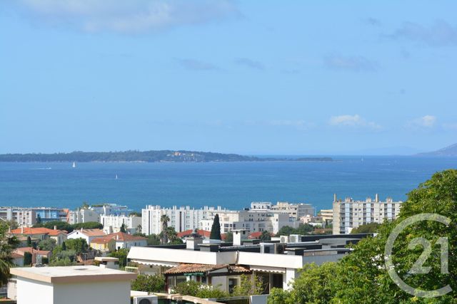 appartement - ANTIBES - 06
