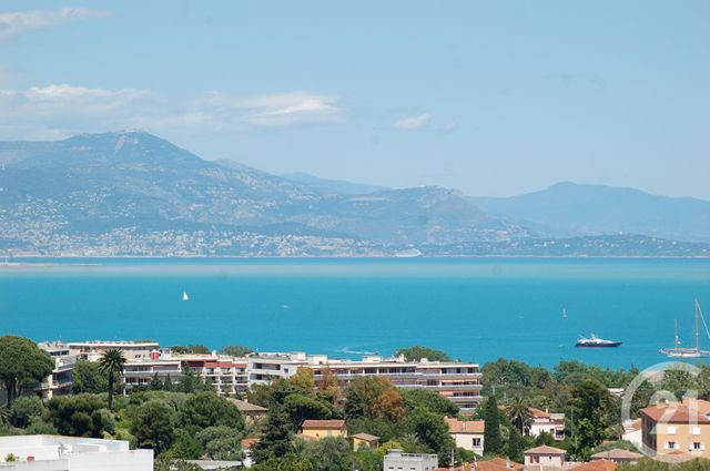 Appartement F3 à vendre - 3 pièces - 73.0 m2 - ANTIBES - 06 - PROVENCE-ALPES-COTE-D-AZUR - Century 21 Roi Soleil Appartement F3 à vendre - 3 pièces - 73.0 m2 - ANTIBES - 06 - PROVENCE-ALPES-COTE-D-AZUR - Century 21 Roi Soleil