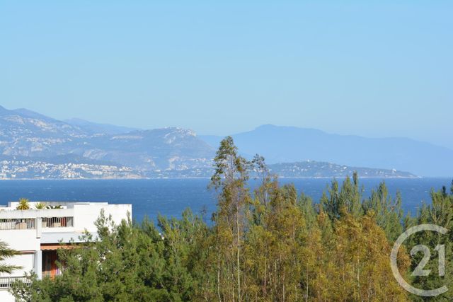 Appartement F2 à vendre - 2 pièces - 52.84 m2 - ANTIBES - 06 - PROVENCE-ALPES-COTE-D-AZUR - Century 21 Roi Soleil Appartement F2 à vendre - 2 pièces - 52.84 m2 - ANTIBES - 06 - PROVENCE-ALPES-COTE-D-AZUR - Century 21 Roi Soleil